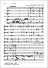 Eyken, Jan Albert van: Herr, vor dein Antlitz