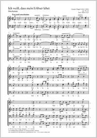 Flügel, Gustav: Ich weiß, dass mein Erlöser lebet