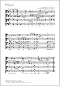 Borkowski, Carsten: Winter ade!