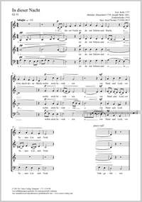 Swider, Józef: In dieser Nacht