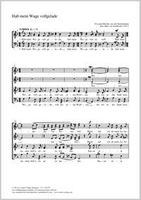 Brand, Hans van den: Hab mein Wage vollgelade