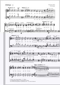 Arne, Ilze: Alleluja