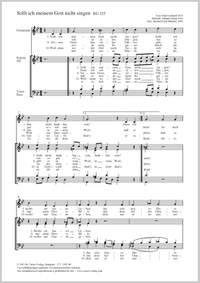 Graf Münster, Michael / Schop, Johann: Sollt ich meinem Gott nicht singen