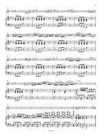 Rossini, Gioachino (attr.): Introduzione e Tema con Variationi Product Image