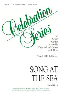 Niamh O'Kelly: Song at the Sea - Instrumental Part