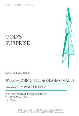 Walter L. Pelz: Gods Surprise