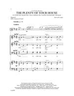 Steven Janco: The Plenty of Your House Product Image