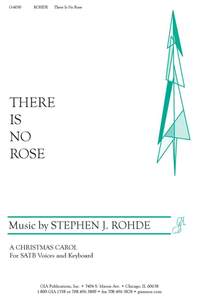 Stephen J. Rohde: There Is No Rose