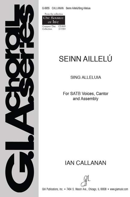 Seinn Aillel