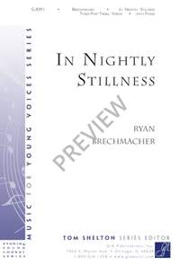 Ryan Brechmacher: In Nightly Stillness
