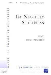 Ryan Brechmacher: In Nightly Stillness - Instrument part