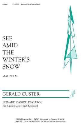 Gerald Custer: See amid the Winter's Snow