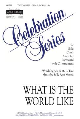 Sally Ann Morris: What Is the World Like