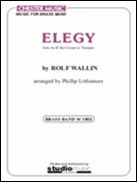 Rolf Wallin_Phillip Littlemore: Elegy