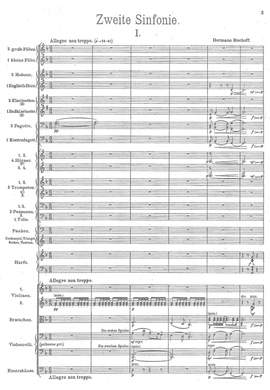 Bischoff, Hermann: Symphony No. 2 in D minor
