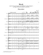 Ludwig van Beethoven Product Image