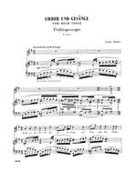 Gustav Mahler: Fourteen Songs including Nine from Des Knaben Wunderhorn Product Image