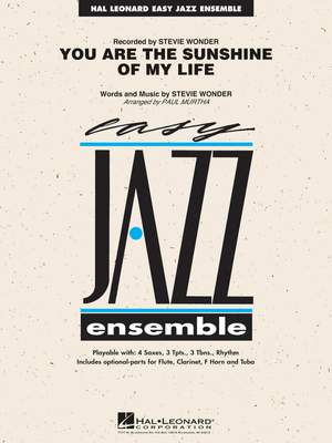 Stevie Wonder: You Are the Sunshine of My Life