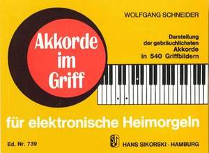 Wolfgang Schneider: Akkorde im Griff