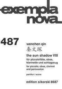Wenchen Qin: The Sun Shadow VIII