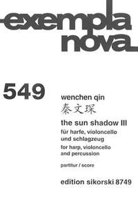 Wenchen Qin: The Sun Shadow III