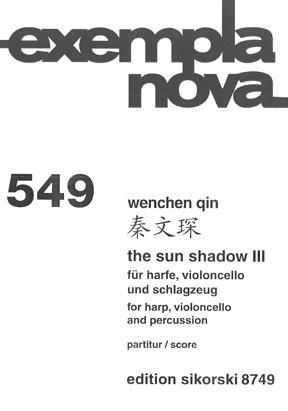 Wenchen Qin: The Sun Shadow III