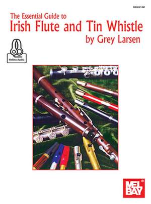 Grey Larsen: Essential Guide To Irish Flute And Tin Whistle