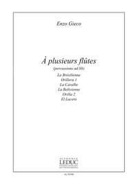 Enzo Gieco: A Plusieurs Flutes