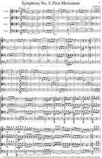 Beethoven, Ludwig Van: Symphony No 5, Movement 1 Product Image