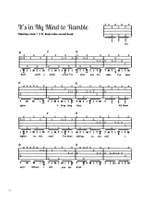 Bluegrass Banjo Product Image