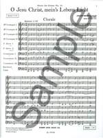 Johann Sebastian Bach: Cantata No.118 Product Image