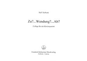 Ralf Kubicek: Zu... Wendung... Ab..