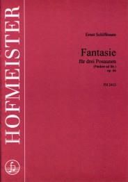 Ernst Schiffmann: Fantasie, op. 66