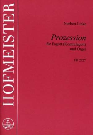 Norbert Linke: Prozession