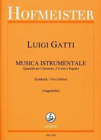 Luigi Gatti: Musica Istrumentale