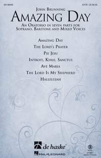 John Brunning: Amazing Day