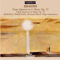 Brahms - Chamber Music