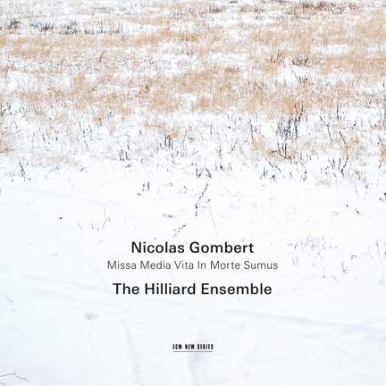 Gombert: Missa Media Vita