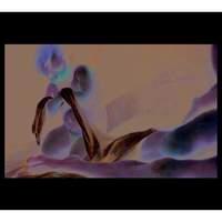 Charpentier, M-A: Méditations pour le Carême