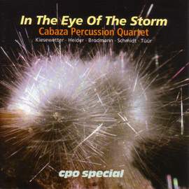 In The Eye of The Storm