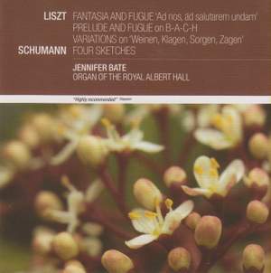 Liszt & Schumann: Organ Works