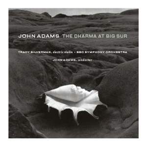Adams, J: The Dharma at Big Sur, etc.