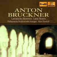 Bruckner: Latin Motets