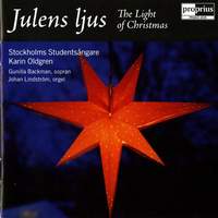 Julens Ljus - The Light of Christmas