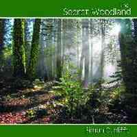The Secret Woodland