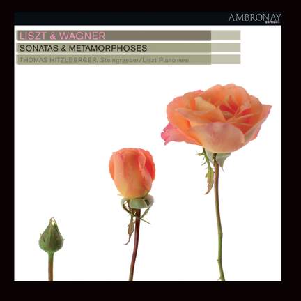 Liszt & Wagner - Sonatas & Metamorphoses