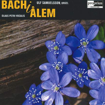 Bach in Ålem