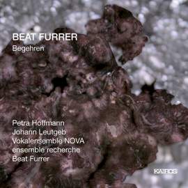 Furrer: Begehren