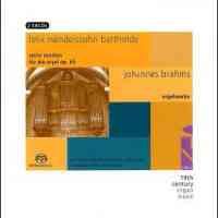 Mendelssohn & Brahms - Organ Works