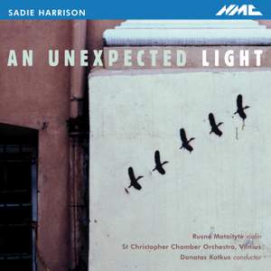 Harrison - An Unexpected Light
